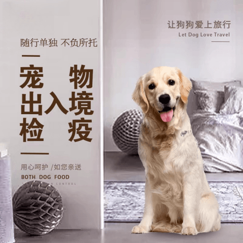 广东省宠物托运到哥伦比亚猫狗宠物入境规定和