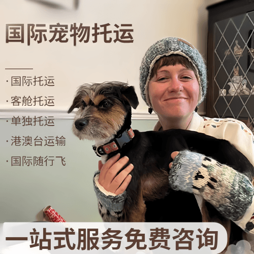 广东省国际宠物托运到阿根廷宠物入境规定和要