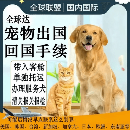 广东省宠物托运到柬埔寨宠物入境规定和要求