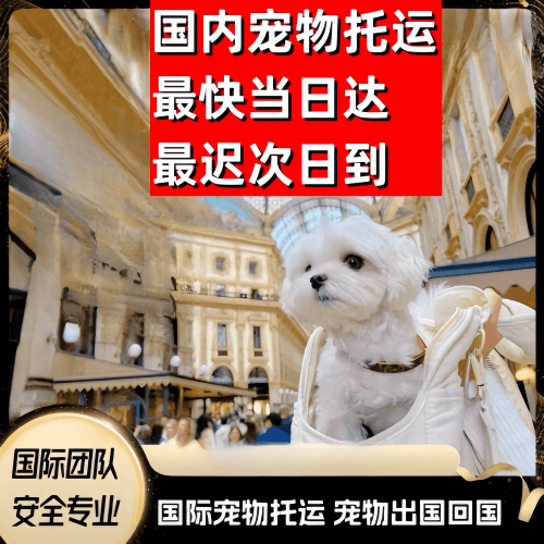 广东省到澳大利亚（澳洲）宠物入境规定和要求
