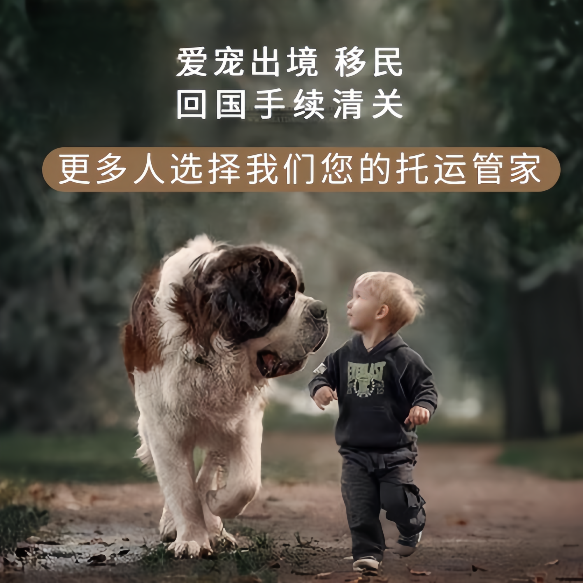 满财广东省宠物全球达宠物托运在遵守入境目的地政策的条件